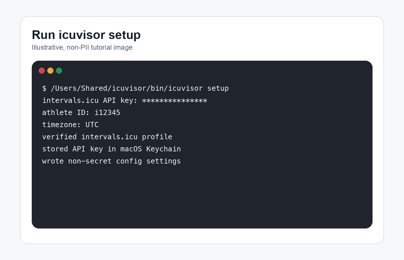 Illustrative Terminal setup view showing a masked API key prompt and non-secret setup completion messages.